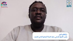4- Partnerships, Financing, and Implementation of the Darfur 2030 Strategy (الشراكات, التمويل, ونهج التنفيذ)
