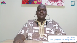 9- Darfur 2030: Cross-Cutting Programmes (البرامج العابرة للقطاعات)